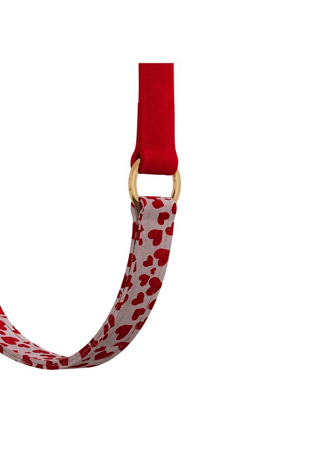 Charmlı Charmlı Valentine Plus Dönüştürülebilir Kayış - 2