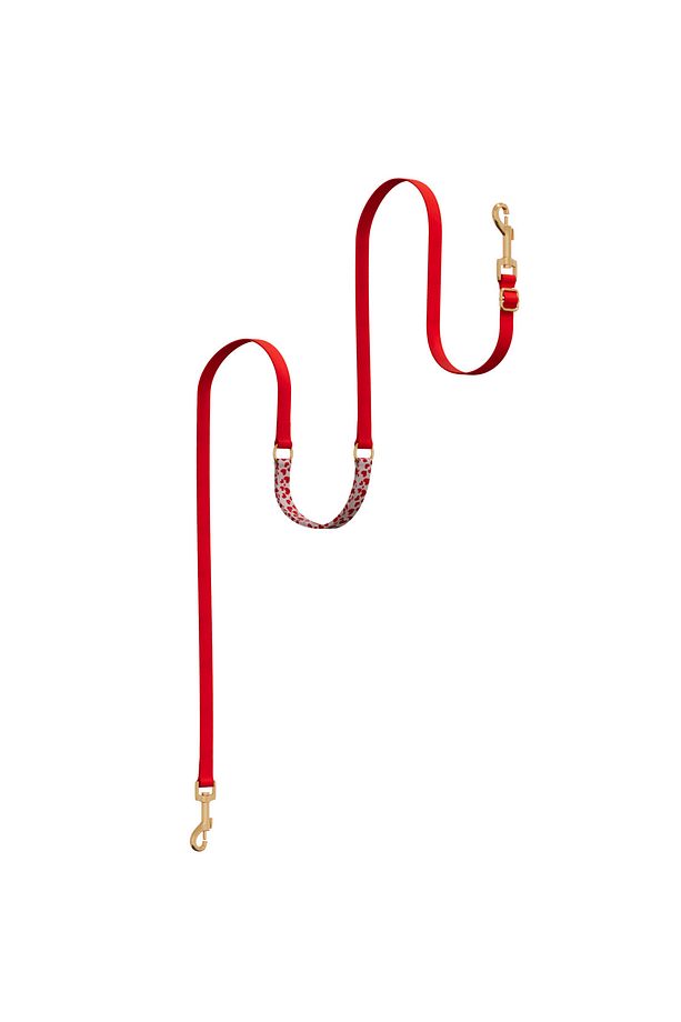 Charmlı Charmlı Valentine Plus Dönüştürülebilir Kayış - 1