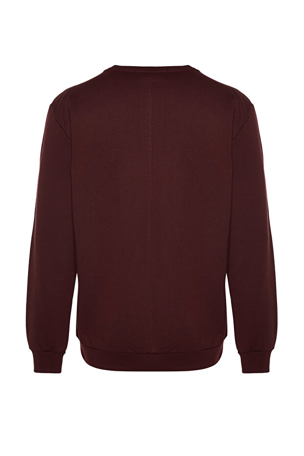 Kahverengi Bisiklet Yaka Regular/Normal Kesim Uzay Baskılı İçi Polarlı Sweatshirt TMNAW24SW00093 - 7