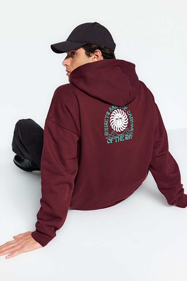 Brown Oversize/Wide Cut Mystic Printed Fleece Inside/Warm Sweatshirt Tmnaw24Sw00150