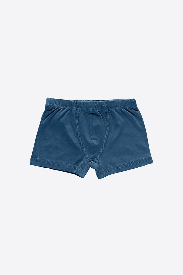 Erkek Çocuk Mavi 3 Lü Paket Pamuk Elastan Boxer 209 - 2