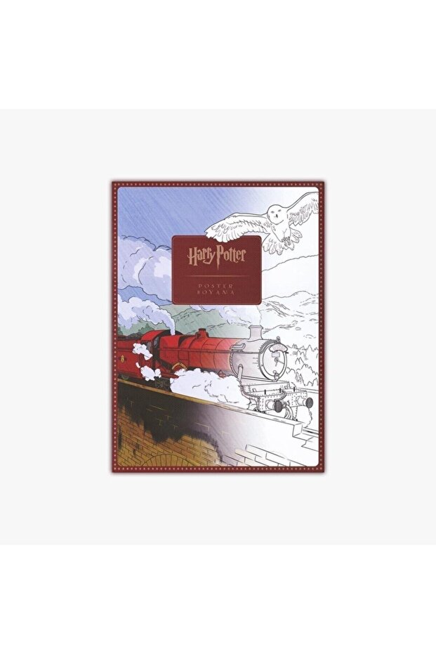 Harry Potter Poster Boyama Seti - 2