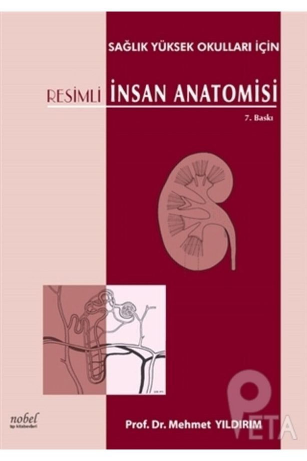 Resimli Insan Anatomisi: Sağlık Yüksek Okulları Için 8. Baskı-prof. Dr. Mehmet Yıldırım-nobel Tıp - 1