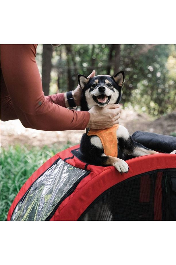 Köpek Taşıma Bisiklet Römorku M - 4