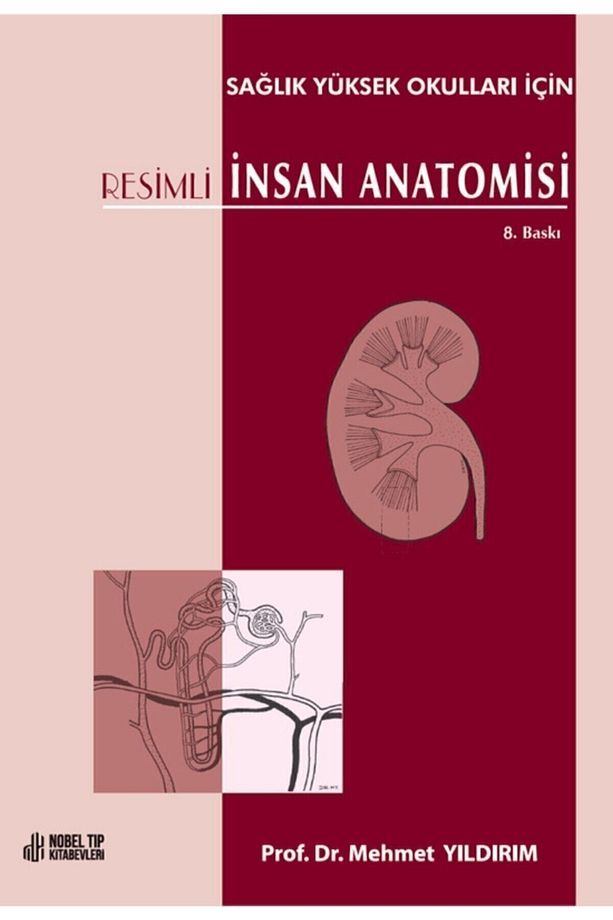 Resimli Insan Anatomisi: Sağlık Yüksek Okulları Için 8. Baskı-prof. Dr. Mehmet Yıldırım-nobel Tıp - 2