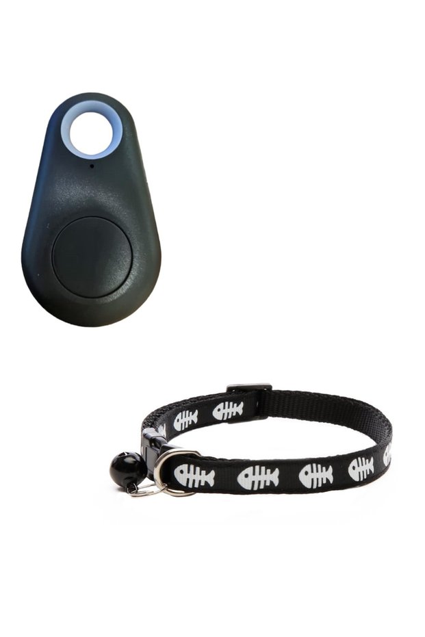 Pet Smart Gps Tracking AND Neck Collar