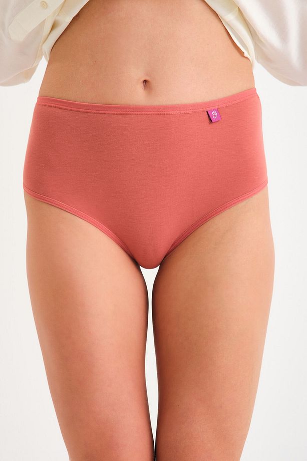 Pamuklu Yüksek Bel Tanga Külot Tekli -high Waist Thong Gül - 2