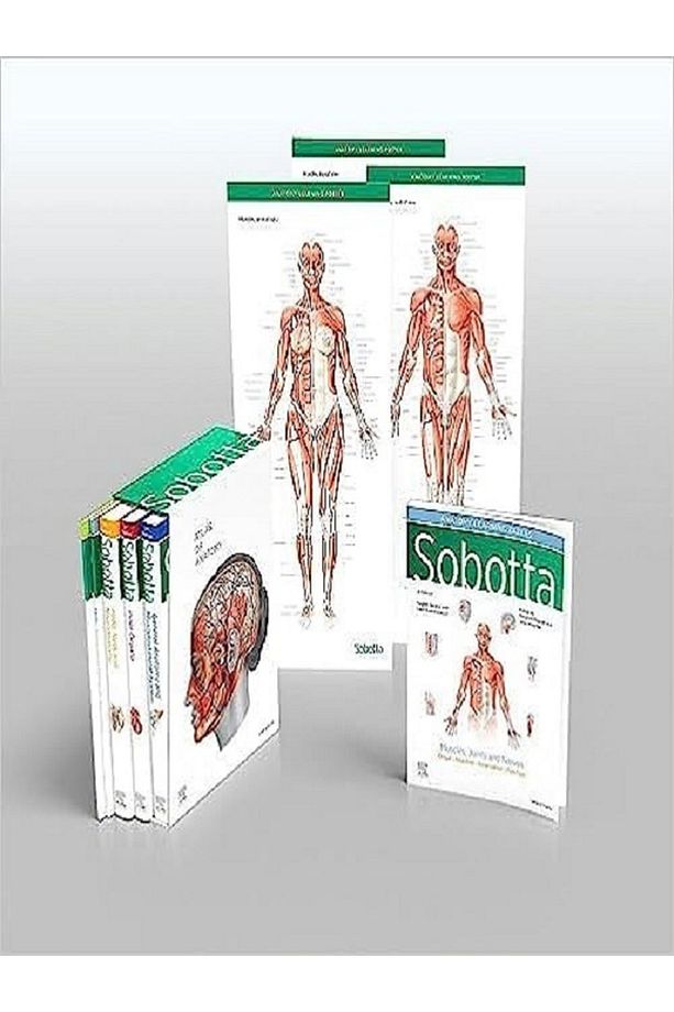 Sobotta Atlas of Anatomy, Package, 17th ed. - 1