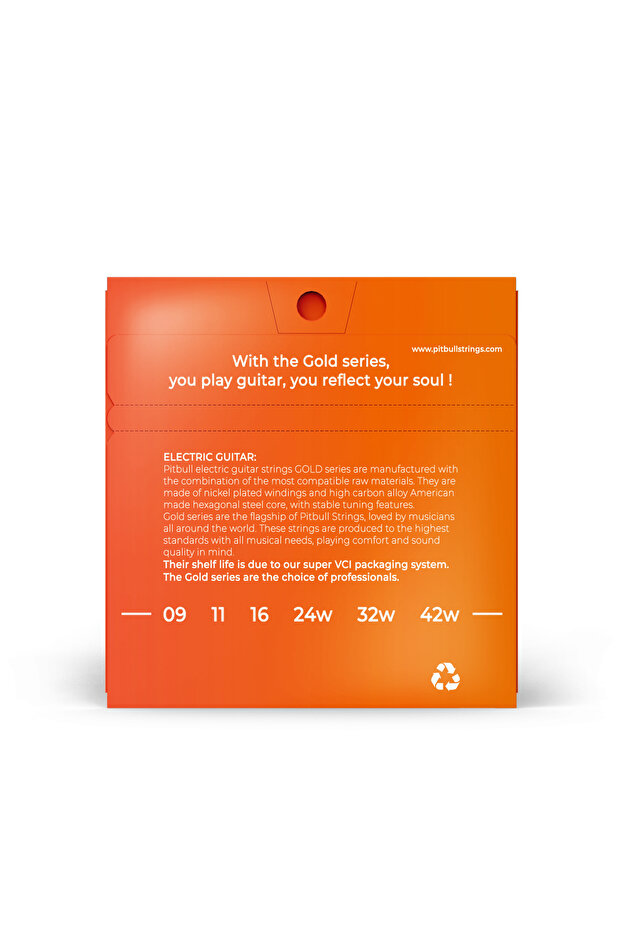 Золота серія електрогітарних струн, набір з 3 штук (струнотримач + 10 медіаторів) GEG 09-42 SL 3PSWP - 3