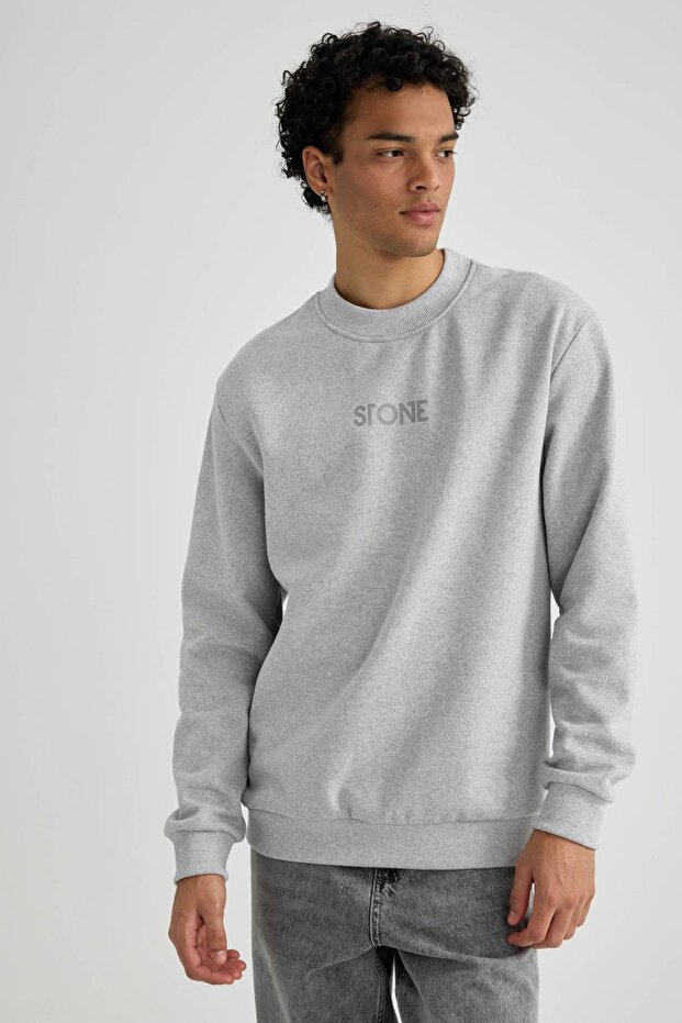 Regular Fit Bisiklet Yaka Sweatshirt - 6