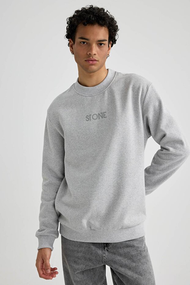 Regular Fit Bisiklet Yaka Sweatshirt - 1