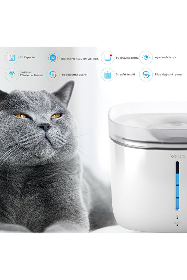 Evcil Hayvan Seti 1 - 3