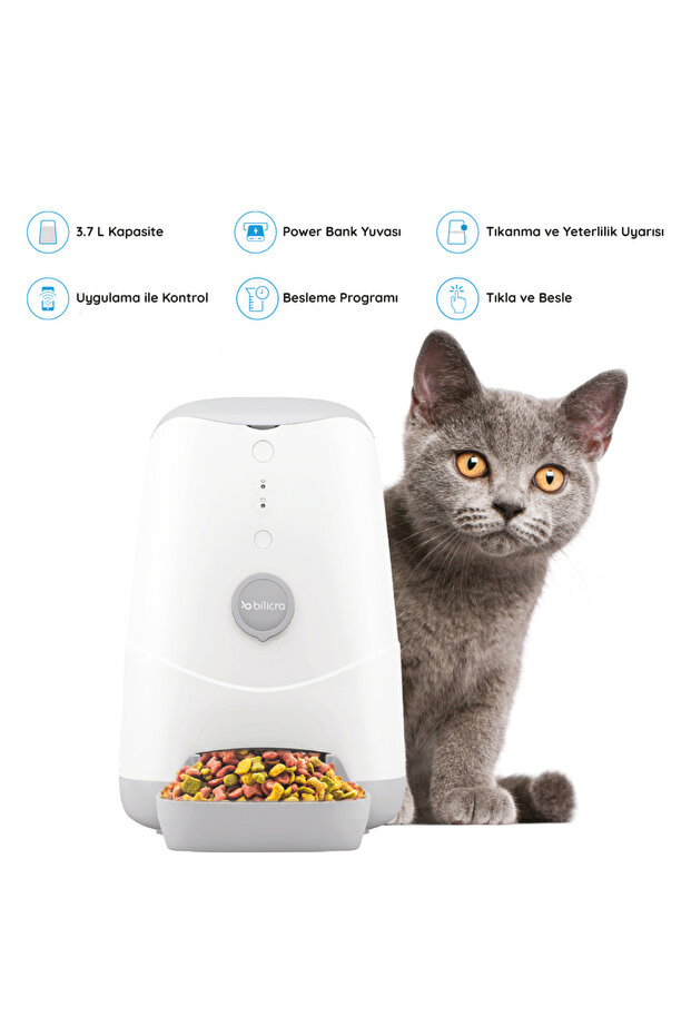 Evcil Hayvan Seti 1 - 2