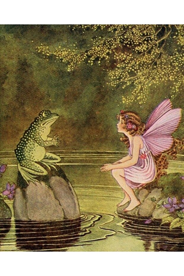 Frog Pixie Wall Poster - 2