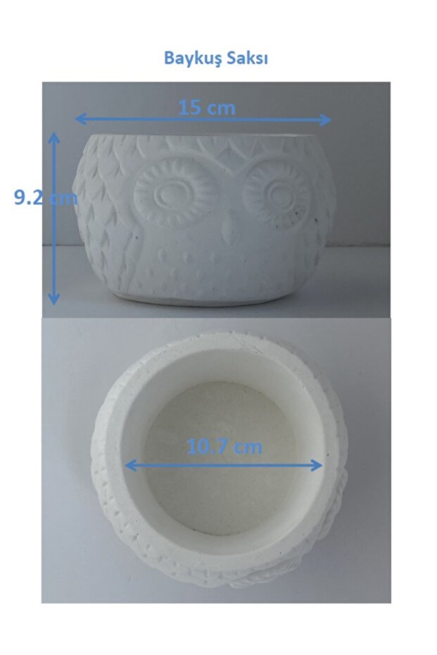 BAYKUŞ SAKSI - 4