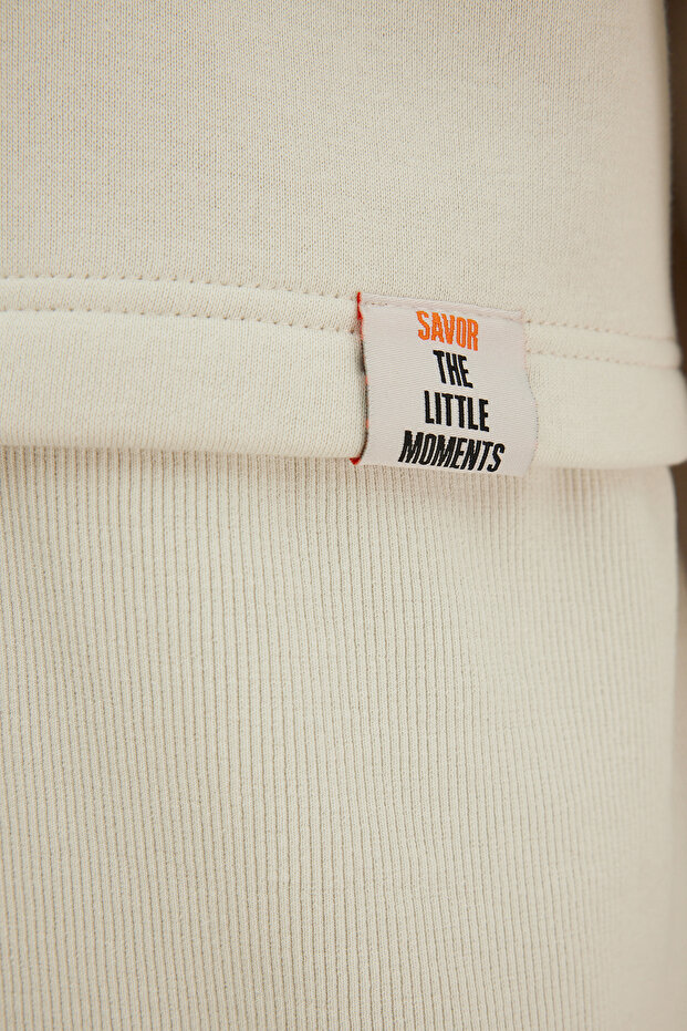 Taş Oversize/Geniş Kesim Etiketli İçi Polarlı Kalın Sweatshirt TMNAW24SW00228 - 5