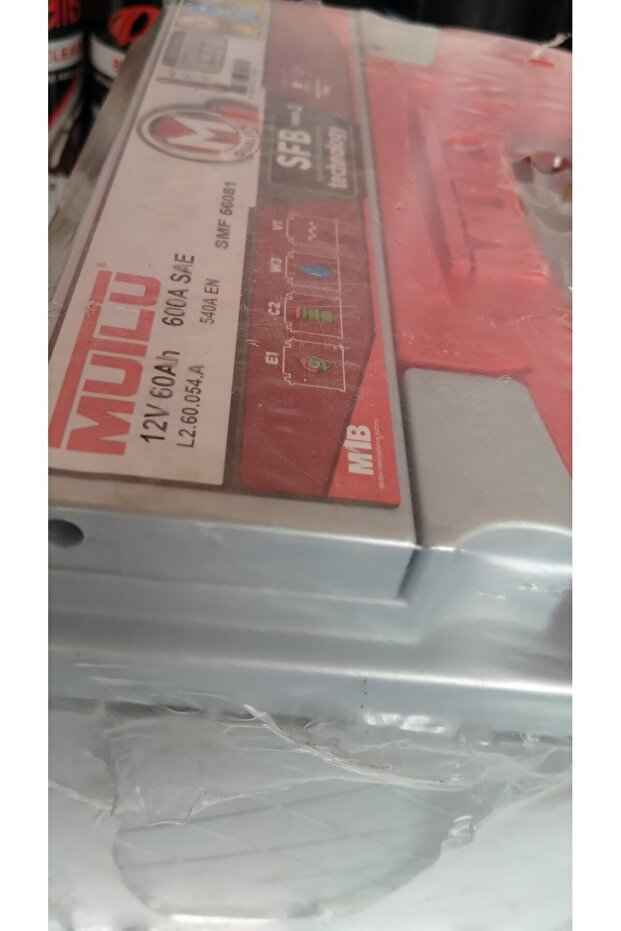 12 Volt 60 Amper - 2