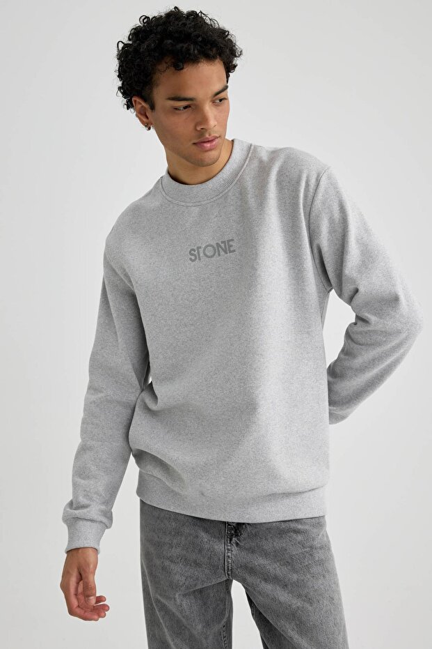 Regular Fit Bisiklet Yaka Sweatshirt - 4