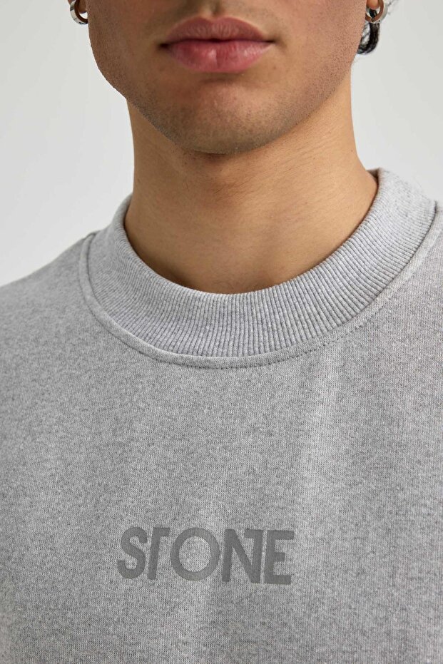 Regular Fit Bisiklet Yaka Sweatshirt - 7