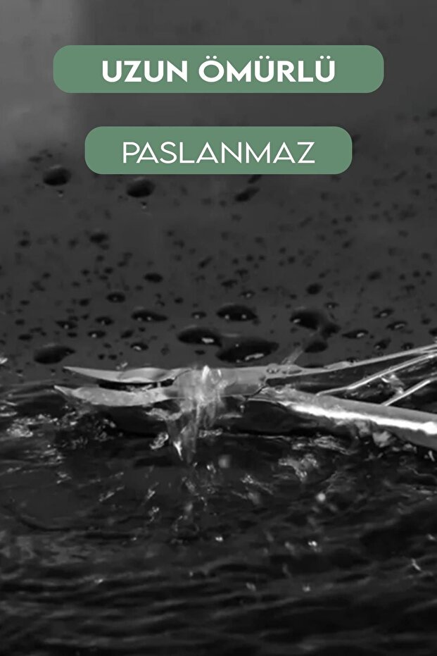 كماشة اللحوم مقص مانيكير مانيكير - 3