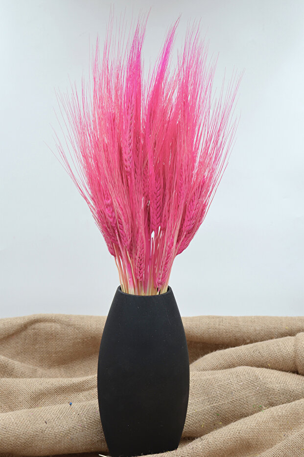 Şoklanmış Başak (Buğday Başağı) - Pembe - 1