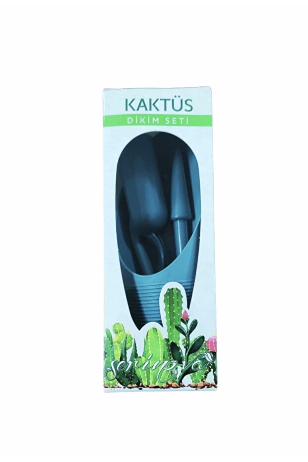 Mini Kaktüs Dikim Seti - 2