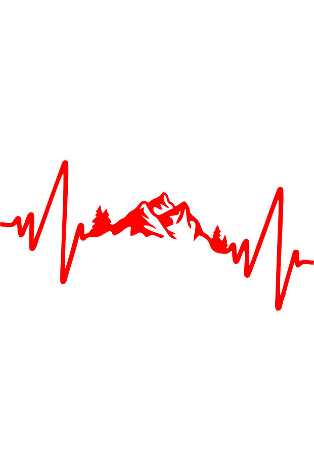 ملصق سيارة PULSE MOUNTAIN VIEW (23 × 11 سم)