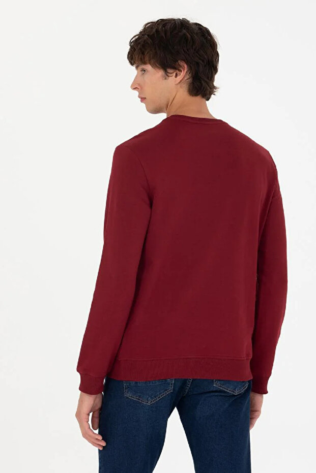 Erkek Bisiklet Yaka Basic Sweatshirt - 2