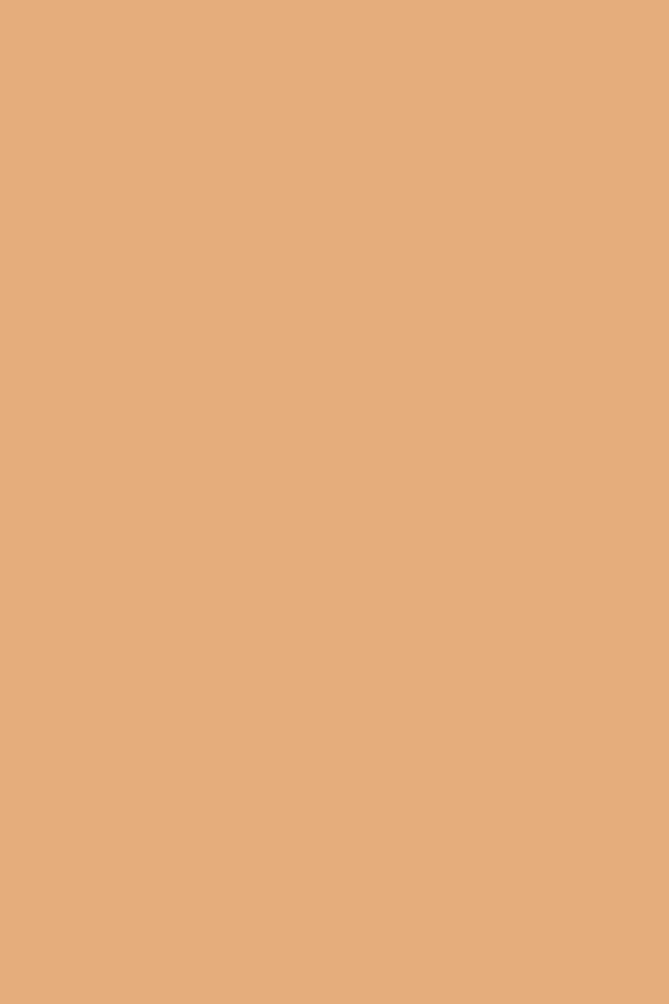Touch Up Concealer Light 040 8690604639182 - 3