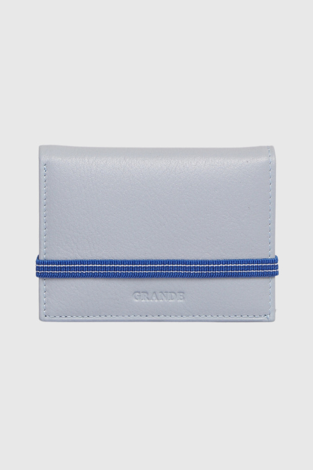 325 Genuine Leather Horizontal Card Holder with Transparent Chamber Arsel Ice Blue