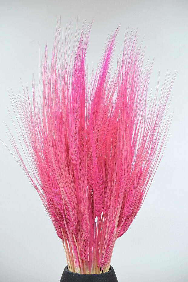 Şoklanmış Başak (Buğday Başağı) - Pembe - 2