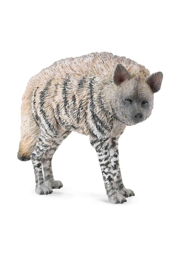 Kreslený? Šelmy - 1