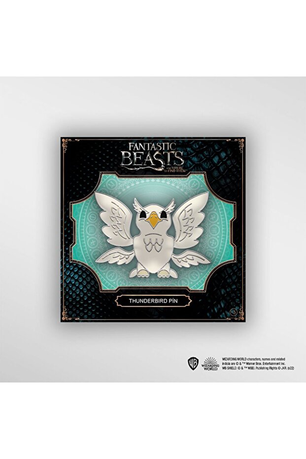 Thunderbırd Pın - 2