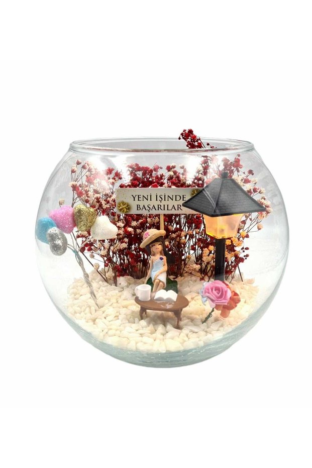 Terrarium Success in New Business, Congratulations ( ) With Illuminated Street Lamp