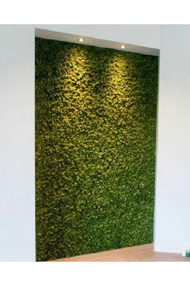 10 ADET 40x60 Cm Yapay Bitki Duvar Kaplama Panel Şimşir Yeşil Dikey Bahçe - 5