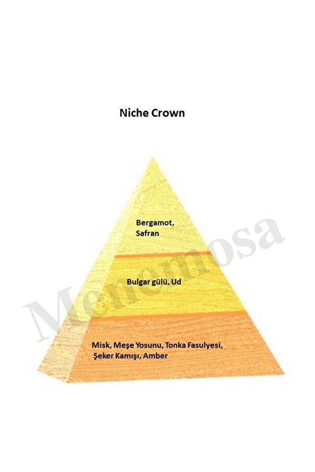 Niche Gold Crown Unisex Extrait De perfume 100 ml - 3