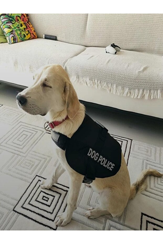 Adjustable Chest Collar Dog Police Dog Back Collar Black Color