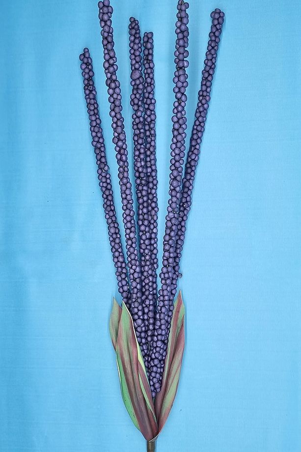 2 Adet Yapay Lüx Buğday 80 Cm ..... Pampas Kuru Agac Dekoratif Gul Sarkit Salon Bitki Yaprak Orkide - 1