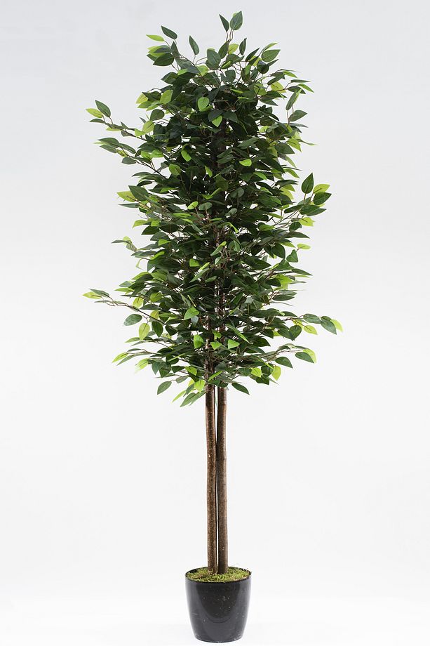 Yapay Agaç 180 Cm Islak Doku Benjamin - 3