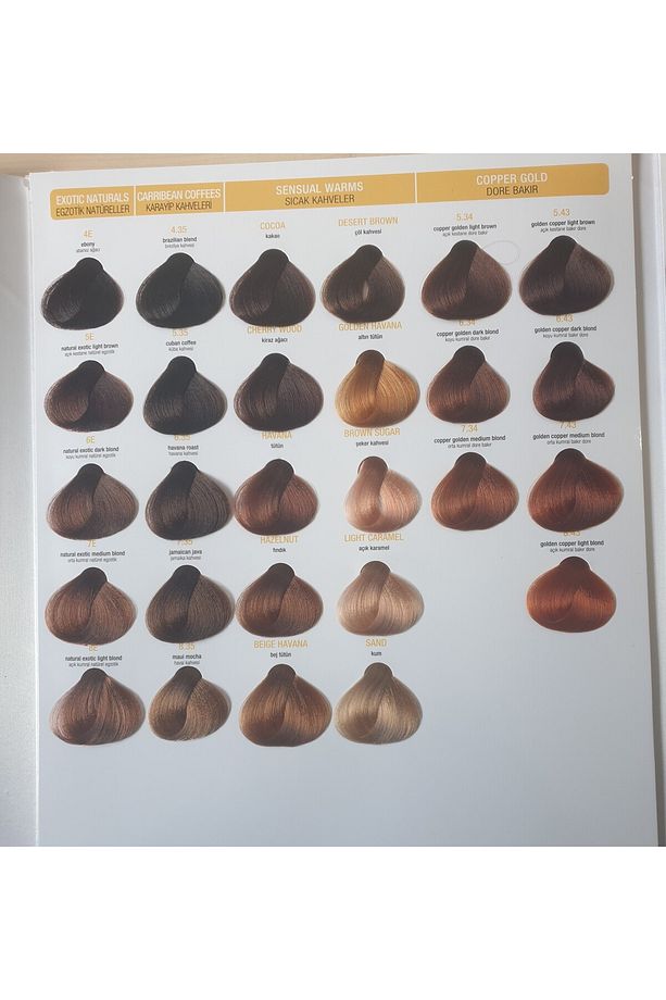 4.1 KESTANE KÜLLÜ - 4
