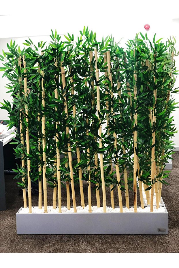 Bambu Seperatör Paravan 100x170 cm - 1