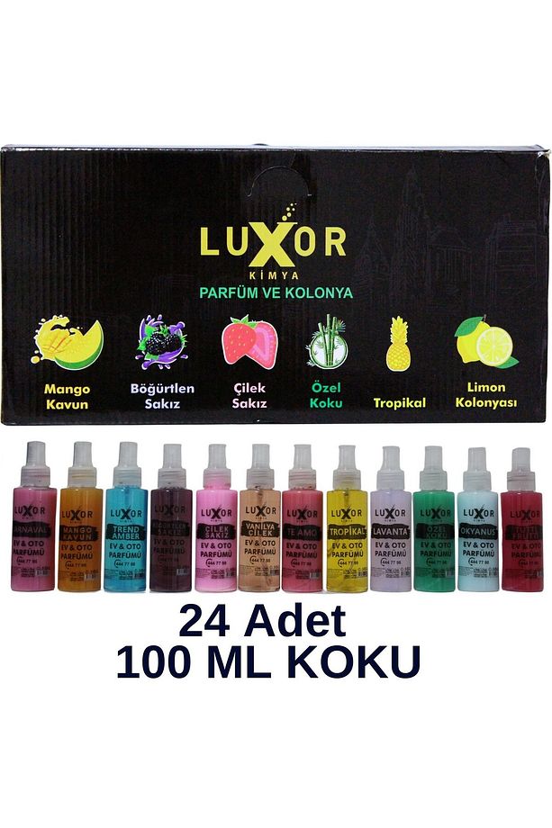 24 Adet 100 ml Ev & Oto Koku Seti Özel Kutulu - 1