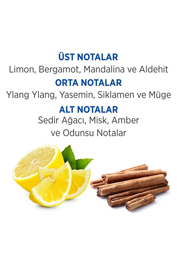 Legend Edt Parfüm 100ml - 3