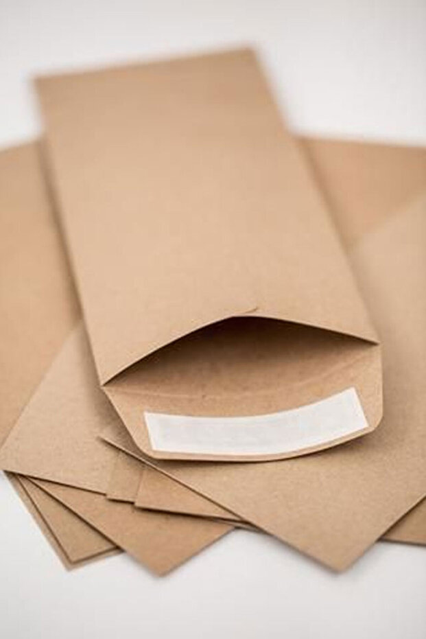 Kraft Gift Envelope (10 pcs)