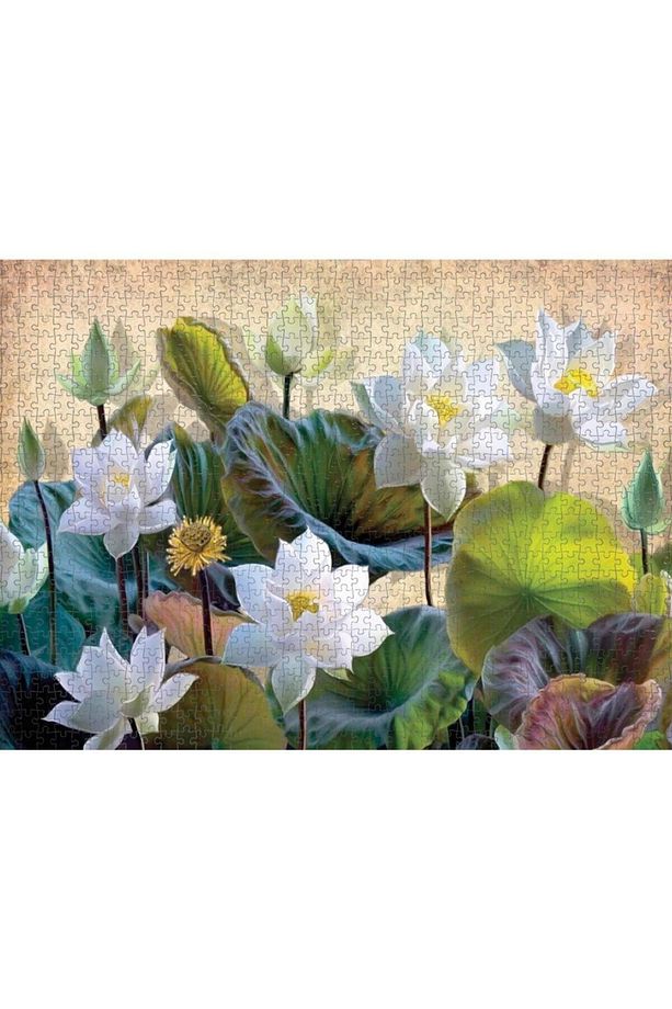1000 Parça Beyaz Nilüfer Çiçekleri Puzzle - 4