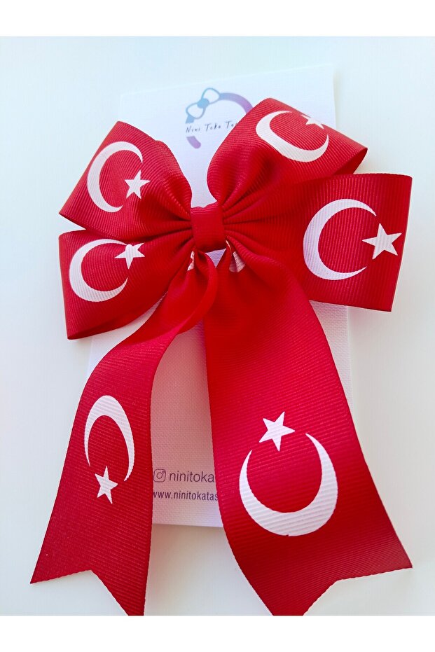 العلم مشبك طبقتين - 3