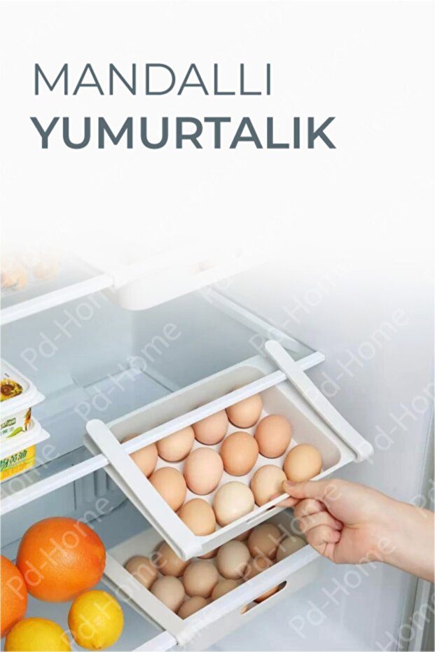 كأس البيض المغلق - 1