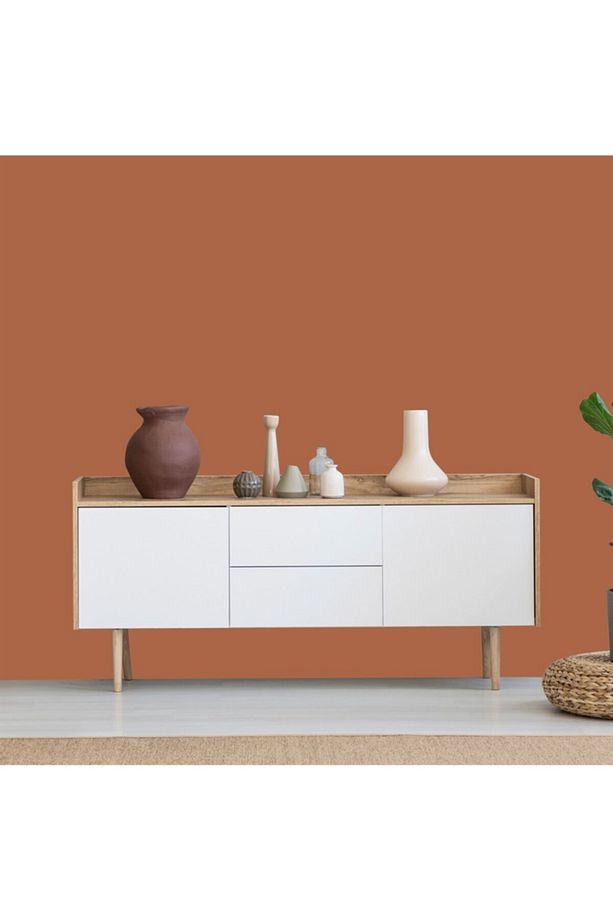 Whynot? Duvar Boyası Warm Terracotta - 1