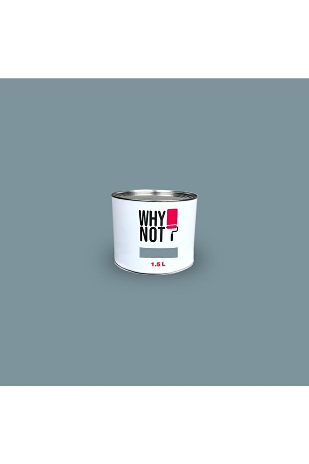 Duvar Boyası Windy Blue 1,5LT - 3