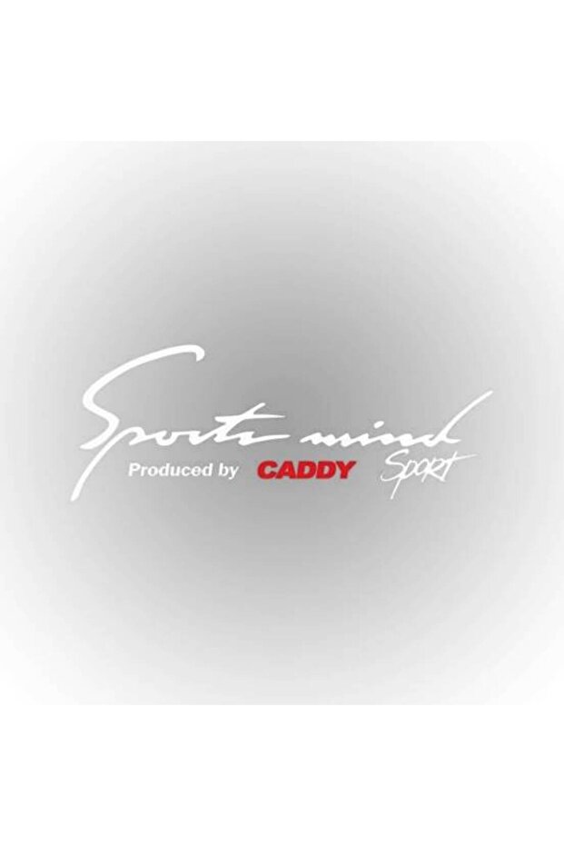 v w Caddy Sports Mind Auto Sticker 30 cm x 11 cm lettering 523